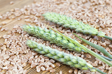 Image showing green wheat ears