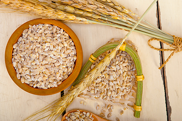 Image showing organic wheat grains