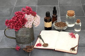 Image showing Valerian Root Apothecary Herbal Medicine Preparation 