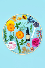 Image showing Healing Herbs and Flowers for Natural Skincare Treatments 