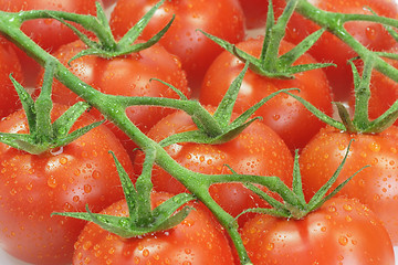 Image showing Tomatoes