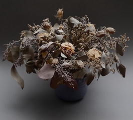 Image showing bouquet of dried flowers in ceramic vase