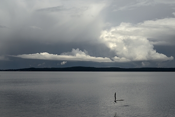 Image showing view of Lake Onega on a cloudy day, seagull flying over water