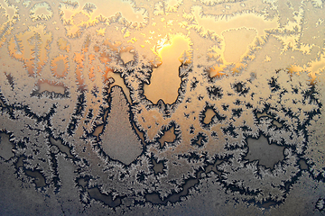 Image showing Beautiful ice pattern and bright sunlight on winter glass