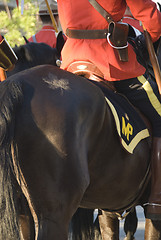 Image showing Canadian Mountie