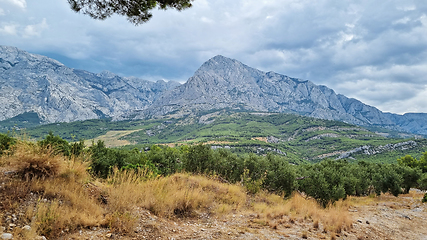 Image showing Biokovo Mountain Nature park and trees from Makarska Riviera-Biokovo