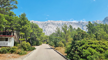 Image showing Biokovo Mountain Nature park and trees from Makarska Riviera-Biokovo