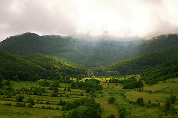 Image showing fog over the forest