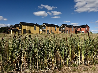 Image showing residential area of typical houses in summer in Finland