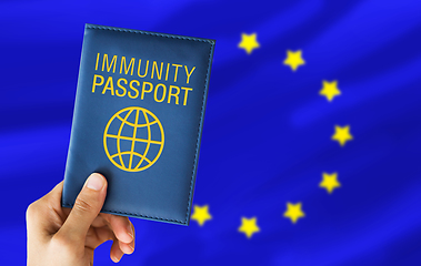 Image showing hand holding immunity passport over european union