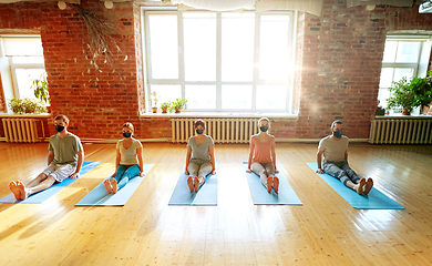 Image showing group of people doing yoga staff pose at studio