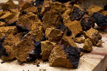 Image showing closeup of dried and cut chaga mushroom on board