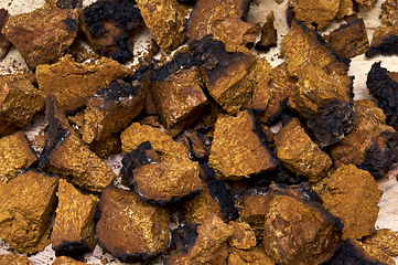 Image showing closeup of dried and cut chaga mushroom on wood