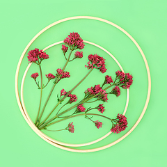 Image showing Red Valerian Herb Flower Plant Abstract Design 