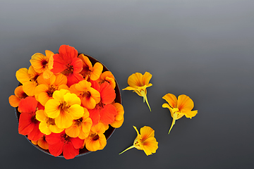 Image showing Nasturtium Flowers for Natural Herbal Medicine and Decoration