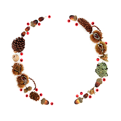 Image showing Autumn Wreath Natural Flora and Red Berries