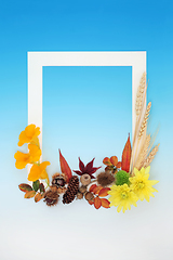 Image showing Autumn and Thanksgiving Colourful Abstract Background Border