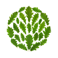 Image showing Oak Tree Leaf Abstract Eco Friendly Logo