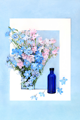 Image showing Delphinium Wildflower Naturopathic Herbal Medicine Frame