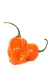 Image showing Habaneros