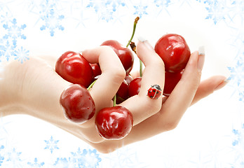 Image showing hand full of red cherries