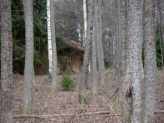 Image showing barn and tree