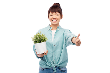 Image showing happy smiling asian woman holding flower in pot