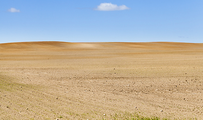 Image showing plowed field