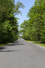 Image showing forest asphalt road