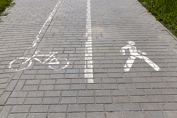 Image showing man and a bicycle