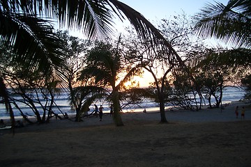 Image showing Beach life