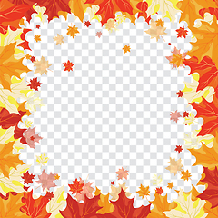 Image showing Maple leaves on transparency grid