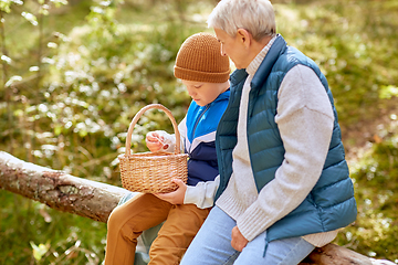 Image showing grandmother and grandson with mushrooms in forest