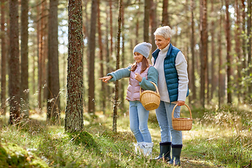 Image showing grandmother and granddaughter picking mushrooms