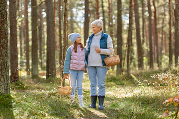 Image showing grandmother and granddaughter picking mushrooms