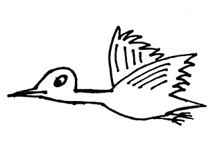 Image showing bird