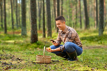 Image showing man using smartphone to identify mushroom