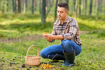 Image showing man with basket picking mushrooms in forest