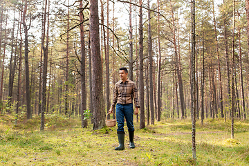 Image showing happy man with basket picking mushrooms in forest