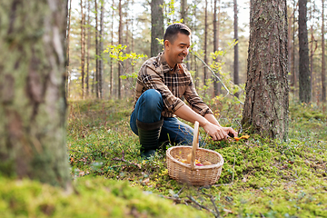 Image showing happy man with basket picking mushrooms in forest