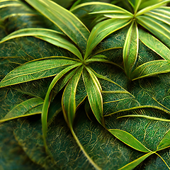 Image showing Nature view of green tropical plants leaves  background. 