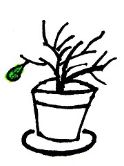 Image showing flower pot