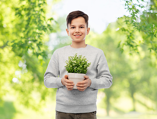 Image showing happy smiling boy holding flower in pot