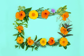 Image showing Natural Alternative Medicine of Herbs and Edible Flowers 