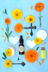 Image showing Calendula Flower Remedy for Alternative Skincare Healing