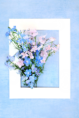 Image showing Delphinium Flower Arrangement Summer Background Border