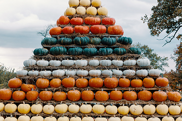 Image showing pyramid from Autumn harvested pumpkins