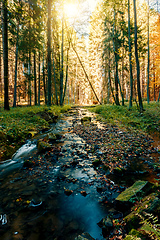 Image showing wild river Doubrava, autumn landscape