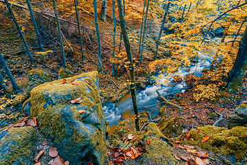Image showing wild river Doubrava, autumn landscape