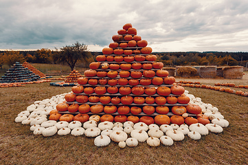 Image showing pyramid from Autumn harvested pumpkins